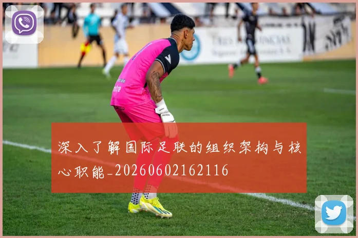 深入了解国际足联的组织架构与核心职能_20260602162116