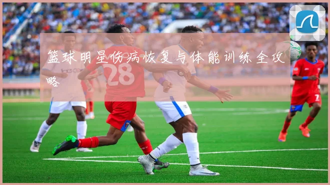 篮球明星伤病恢复与体能训练全攻略